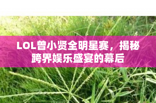 揭秘跨界娱乐盛宴的幕后图片