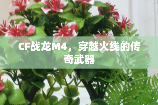 穿越火线的传奇武器图片