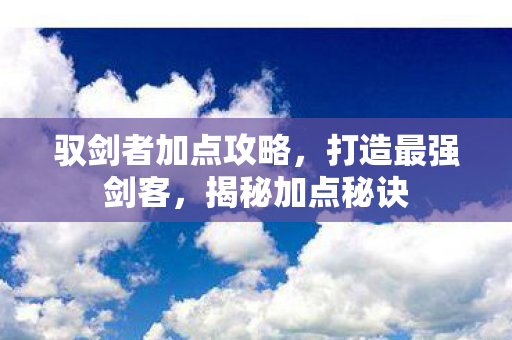 驭剑者加点攻略图片