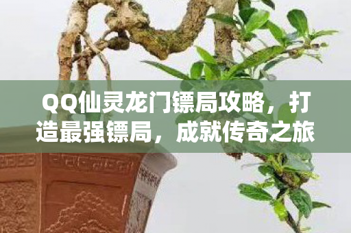 QQ仙灵龙门镖局攻略图片