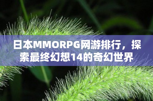 探索最终幻想14的奇幻世界图片