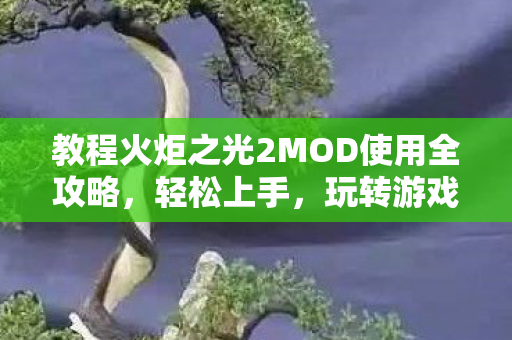 教程火炬之光2MOD使用全攻略图片