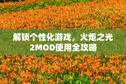 火炬之光2MOD使用全攻略图片