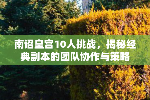 揭秘经典副本的团队协作与策略图片