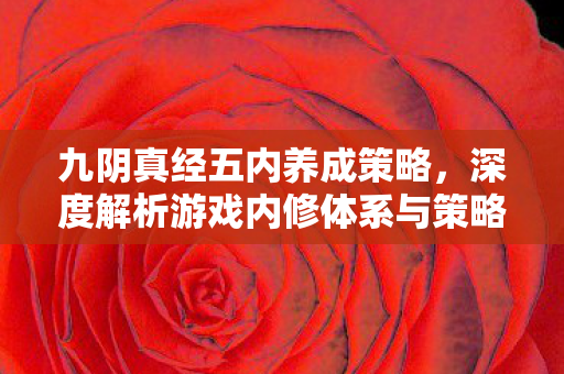 深度解析游戏内修体系与策略图片