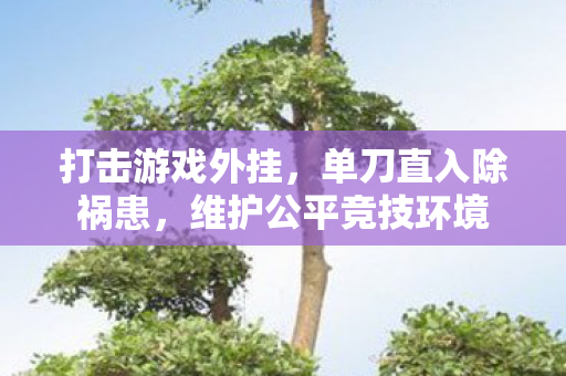 维护公平竞技环境图片