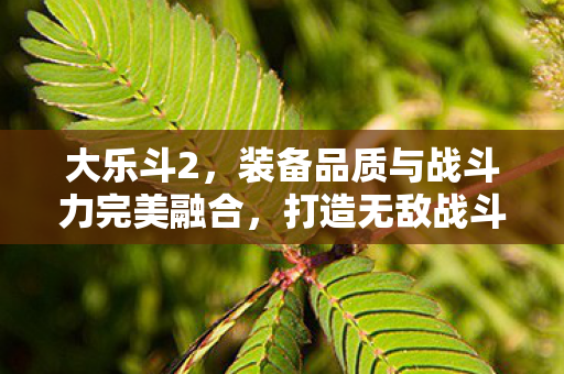 装备品质与战斗力完美融合图片