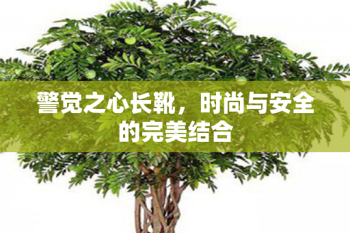 时尚与安全的完美结合图片