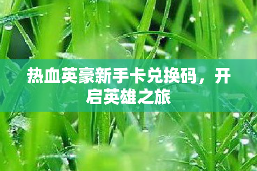 热血英豪新手卡兑换码图片