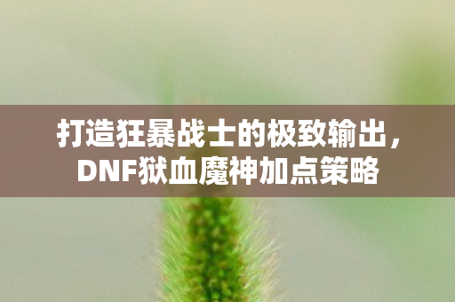 打造狂暴战士的极致输出图片