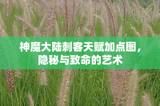 神魔大陆刺客天赋加点图图片