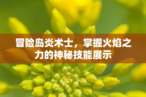 掌握火焰之力的神秘技能展示图片
