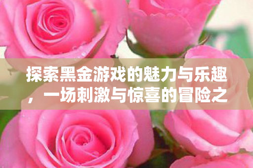 探索黑金游戏的魅力与乐趣图片