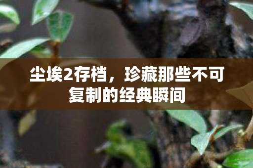 珍藏那些不可复制的经典瞬间图片