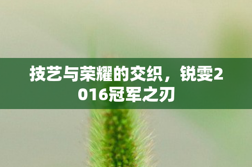 锐雯2016冠军之刃图片