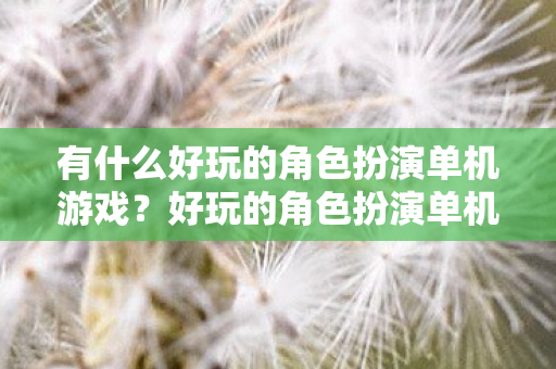 有什么好玩的角色扮演单机游戏图片