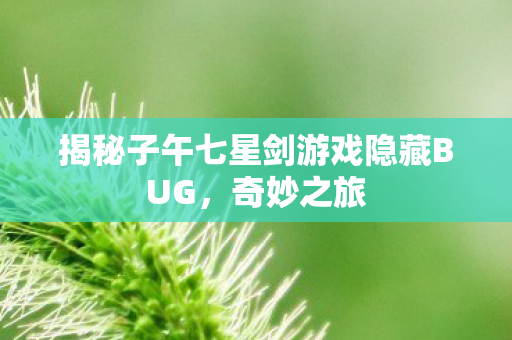 揭秘子午七星剑游戏隐藏BUG图片