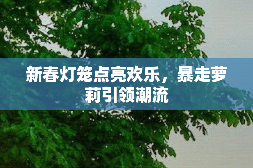 新春灯笼点亮欢乐图片