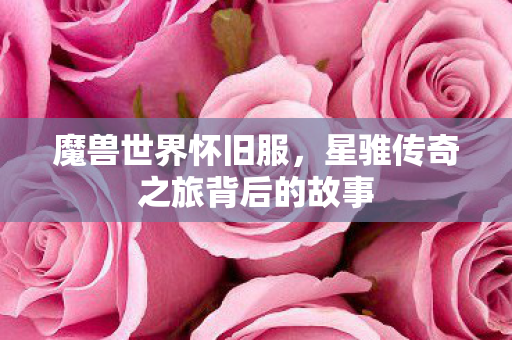星骓传奇之旅背后的故事图片