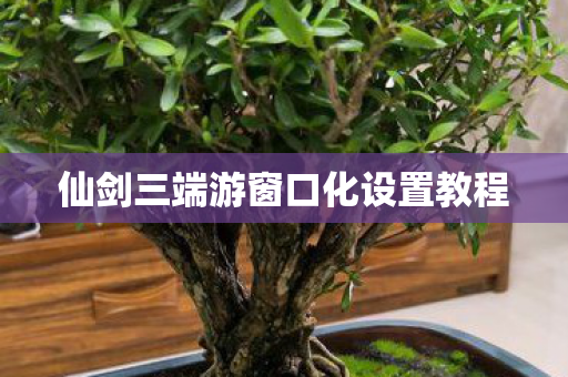 仙剑三端游窗口化设置教程图片