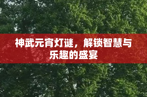 解锁智慧与乐趣的盛宴图片