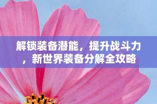 新世界装备分解全攻略图片