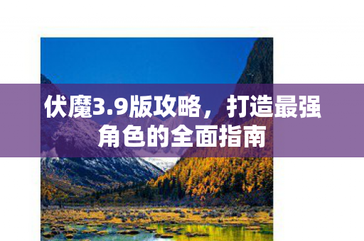 打造最强角色的全面指南图片