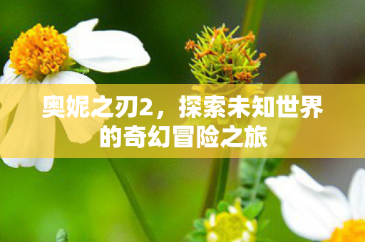 探索未知世界的奇幻冒险之旅图片