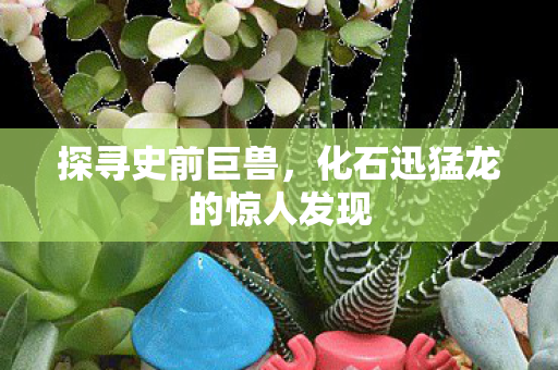 化石迅猛龙的惊人发现图片