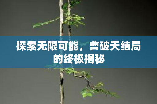 曹破天结局的终极揭秘图片