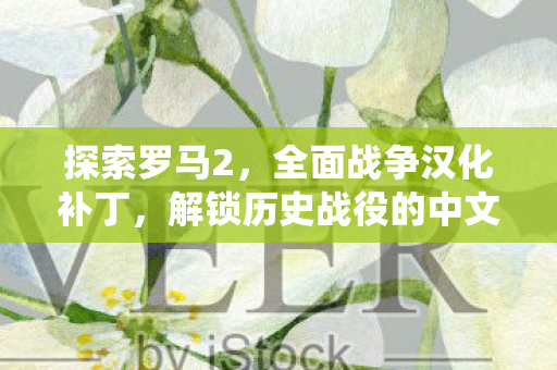 探索罗马2中文补丁解锁历史战役图片