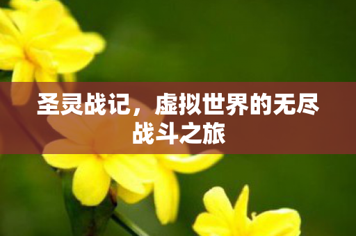 虚拟世界的无尽战斗之旅图片