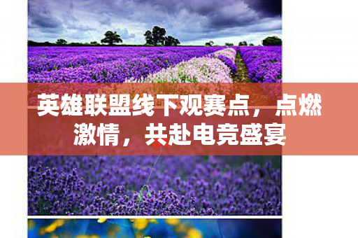 英雄联盟线下观赛点图片