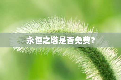 永恒之塔是否免费图片