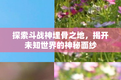 揭开未知世界的神秘面纱图片