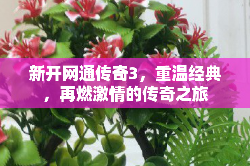 再燃激情的传奇之旅图片