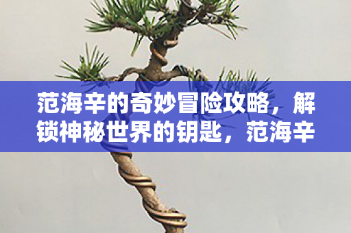 范海辛的奇妙冒险攻略图片