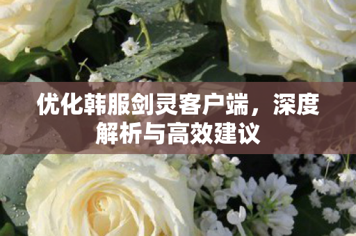 优化韩服剑灵客户端图片