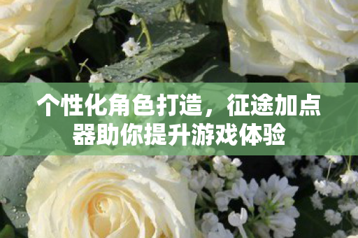 征途加点器助你提升游戏体验图片