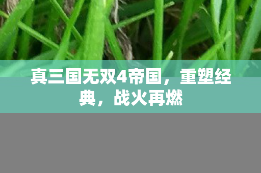 真三国无双4帝国图片