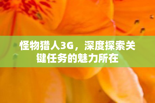 深度探索关键任务的魅力所在图片