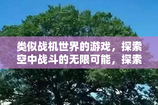 探索空中战斗的无限可能图片