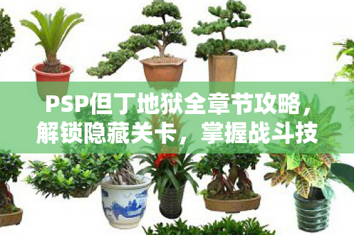 PSP但丁地狱全章节攻略图片