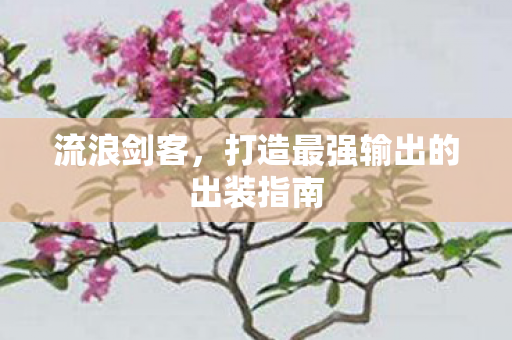 打造最强输出的出装指南图片