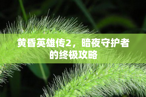 暗夜守护者的终极攻略图片