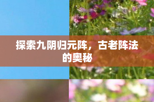 探索九阴归元阵图片