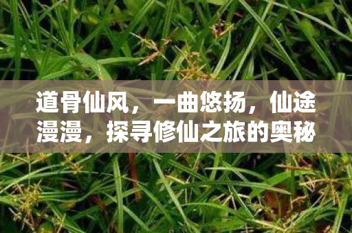 探寻修仙之旅的奥秘图片
