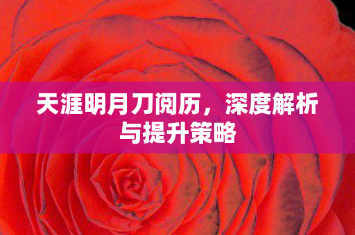 深度解析与提升策略图片