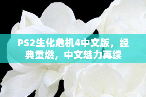 PS2生化危机4中文版图片