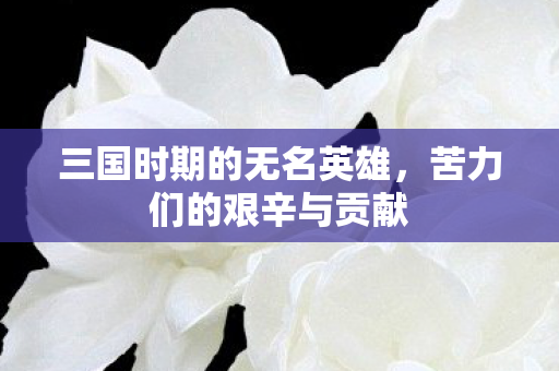 三国时期的无名英雄图片